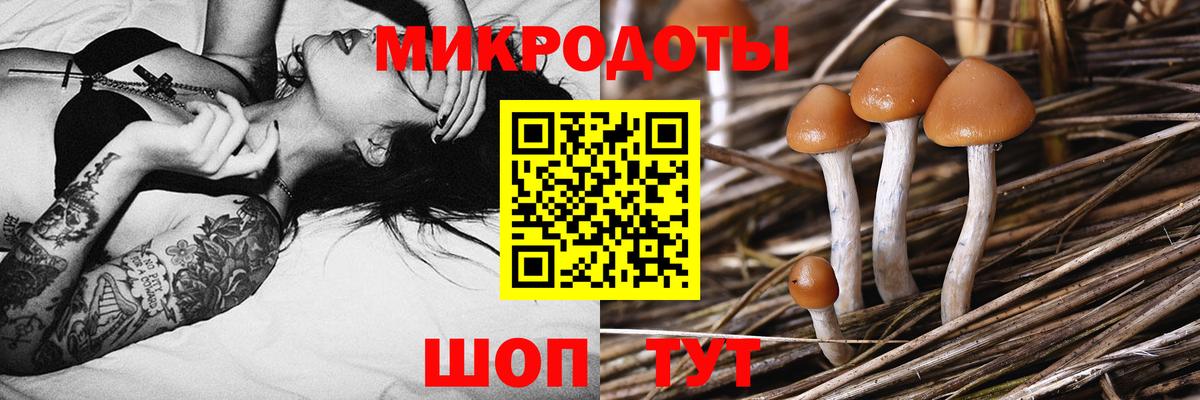 Галлюциногенные грибы мицелий Лабинск